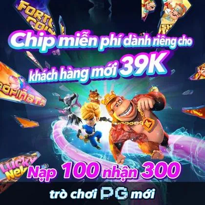61T 61T